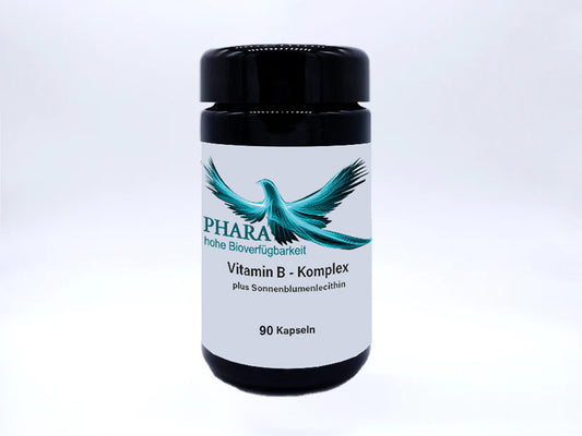 Vitamin B Komplex (mit Sonnenblumenlecithin) Kapseln